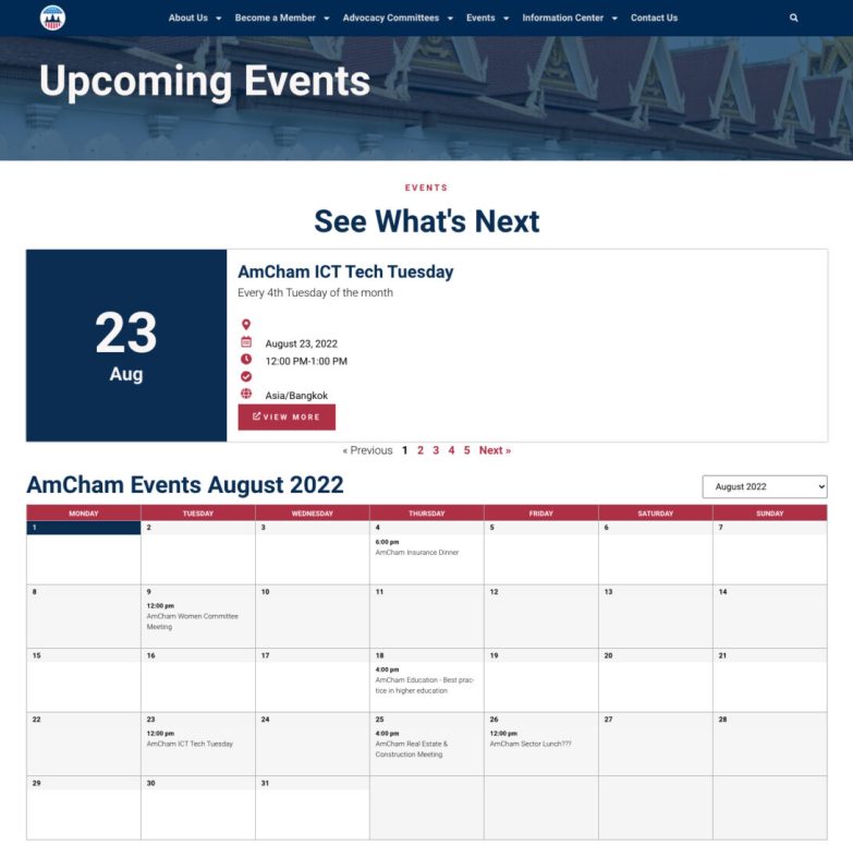 AmCham Website-2 AmCham Website-2